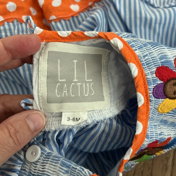 Lil Cactus smocked Thanksgiving Dress size 3-6 months - Picture 6 of 6